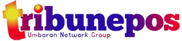 Tribunepos.com