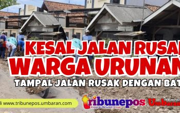 Kesal Tak Kunjung Diperbaiki Pemerintah, Warga Urunan Tambal Jalan Rusak