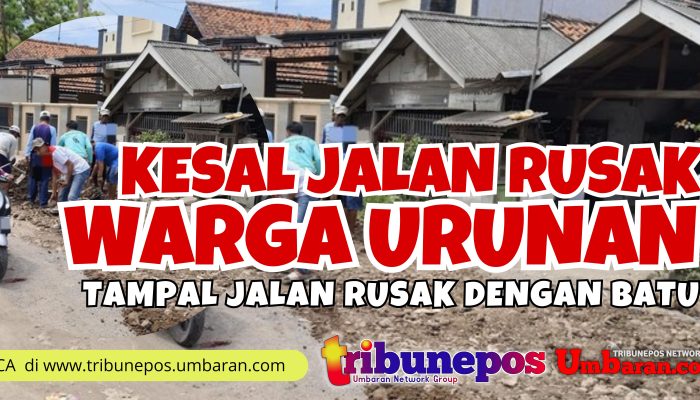 Kesal Tak Kunjung Diperbaiki Pemerintah, Warga Urunan Tambal Jalan Rusak