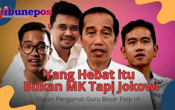 Yang Hebat itu Bukan MK Tapi Jokowi, Ini Ulasan Pengamat Guru Besar Fisip UI