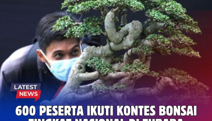 600 Peserta Ikuti Kontes Bonsai Tingkat Nasional di Tubaba, Ada Datang dari Luar Lampung