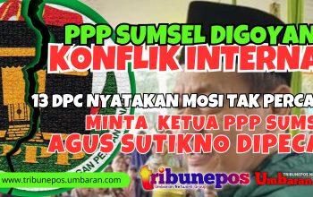 Digoyang Konflik Mosi Tak Percaya, 13 DPC Minta Agus Sutikno Dipecat dari Ketua PPP Sumsel