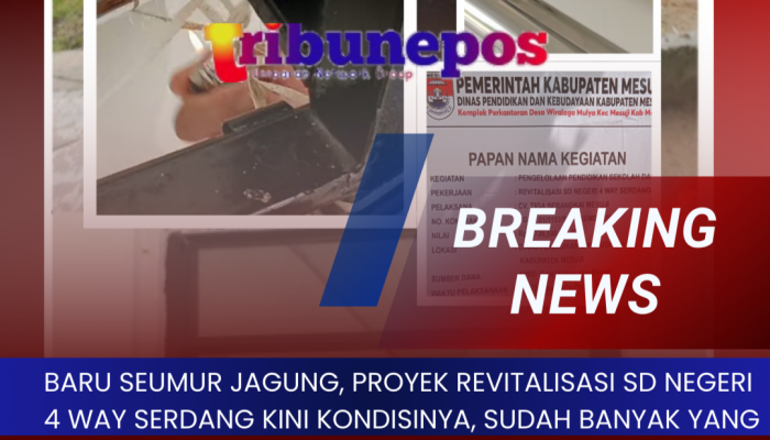 Revitalisasi Gedung SD Negeri 4 Way Serdang Rp 3,7 M, Baru Seumur Jagung, Kondisi Sudah Rusak Parah