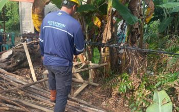 Usai Diberitakan, PLN Gerak Cepat Cek Lokasi Kabel Listrik Berbahaya di Rantau Panjang: Dulu Pernah Ada Tiangnya, Dicuri Orang