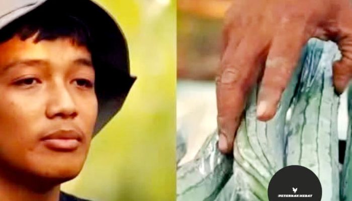 Muhammad Alfa Priandito, Siswa SMK yang Raup Rp100 Juta per Bulan dari Bisnis Sayur