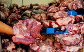 Balai Karantina Lampung Gagalkan Penyelundupan 1,2 Ton Daging Babi di Pelabuhan Bakauheni