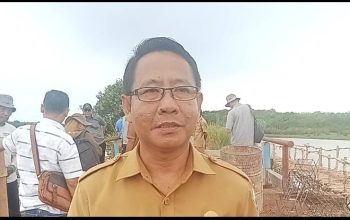 Kasi PMD Wardani Apresiasi Rehab Jembatan Desa Tanjung Dayang Selatan, Jadi Akses Vital Petani Karet