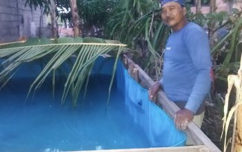 Ditinggal Sepinya Proyek Bangunan, Warga Kebun Raya Tekuni Budidaya Ikan Paten