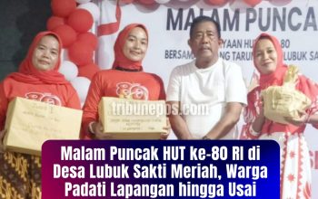 Malam Puncak HUT ke-80 RI di Desa Lubuk Sakti Meriah, Warga Padati Lapangan hingga Usai Pembagian Hadiah