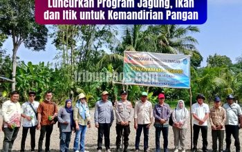Desa Sukaraja Lama Luncurkan Program Jagung, Ikan dan Itik untuk Kemandirian Pangan