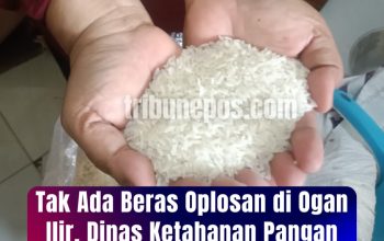Tak Ada Beras Oplosan di Ogan Ilir, Dinas Ketahanan Pangan Pastikan Pasokan Aman