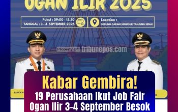 Kabar Gembira! 19 Perusahaan Ikut Job Fair Ogan Ilir 3-4 September, 1.000 Lowongan Kerja Disiapkan, Dari Indomaret hingga Pabrik Gula