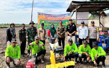Bumdes Dayang Jaya Garap Lahan Jagung dan Sayuran, Dana Desa Jadi Modal Utama