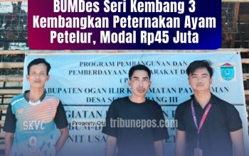 BUMDes Seri Kembang 3 Kembangkan Peternakan Ayam Petelur, Modal Rp45 Juta, Ini Kata Kades Firman!
