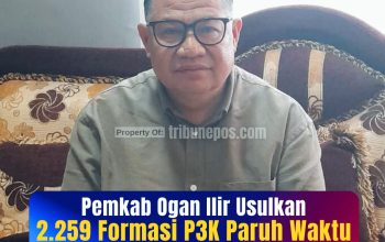 Kabar Gembira, Pemkab Ogan Ilir Usulkan 2.259 Formasi P3K Paruh Waktu Gantikan Tenaga Honorer