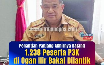 Akhirnya, 1.238 Peserta P3K di Ogan Ilir Bakal Dilantik Pertengahan September Ini