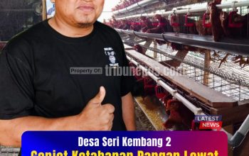 Desa Seri Kembang 2 Genjot Ketahanan Pangan Lewat Jagung dan Ayam Petelur