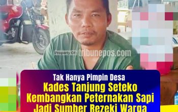 Tak Hanya Pimpin Desa, Kades Tanjung Seteko Kembangkan Peternakan Sapi, Jadi Sumber Rezeki Warga