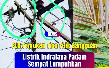 Listrik Indralaya Padam Sempat Lumpuhkan Pelayanan SKCK Polres, PLN Temukan Tiga Titik Gangguan