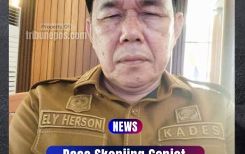 Desa Skonjing Genjot Program Jagung untuk Ketahanan Pangan, Ini Penjelasan Kades Ely Herson