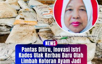 Pantas Ditiru, Inovasi Istri Kades Ulak Kerbau Baru Olah Limbah Kotoran Ayam Jadi Pupuk Bernilai