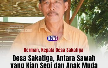 Lahan Pertanian di Sakatiga Tinggal 15 Persen Digarap, Anak Muda Desa Memilih Berburu Gelar Sarjana