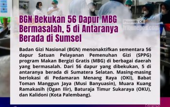 BGN Bekukan 56 Dapur MBG Bermasalah, 5 di Antaranya Berada di Sumsel