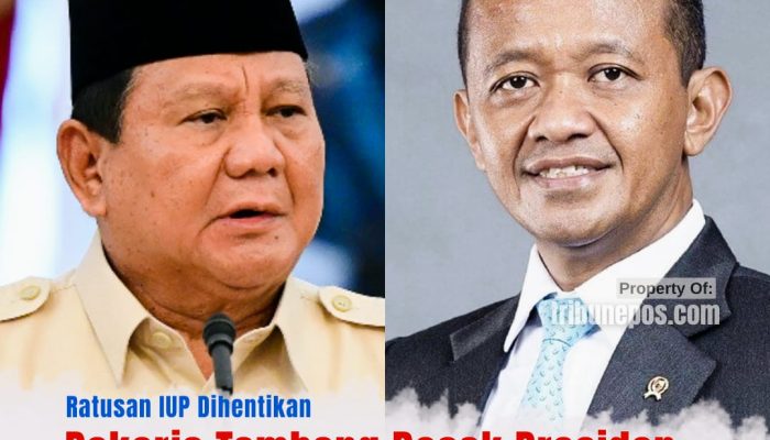 Ratusan IUP Dihentikan, Pekerja Tambang Desak Presiden Prabowo Copot Menteri ESDM
