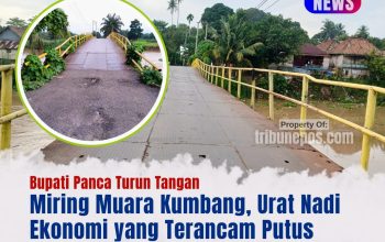 Jembatan Miring Muara Kumbang, Urat Nadi Ekonomi yang Terancam Putus, Bupati Panca Turun Tangan