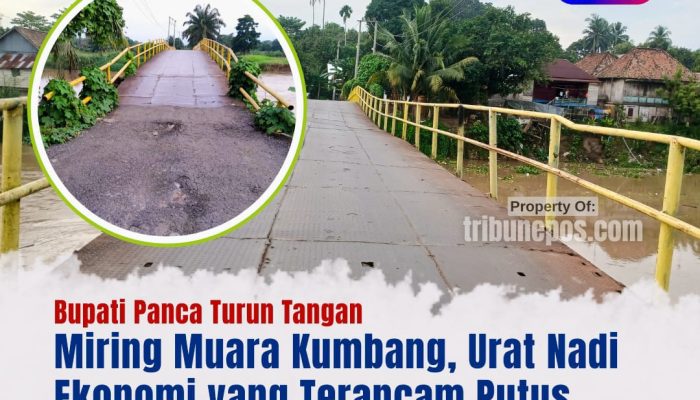 Jembatan Miring Muara Kumbang, Urat Nadi Ekonomi yang Terancam Putus, Bupati Panca Turun Tangan