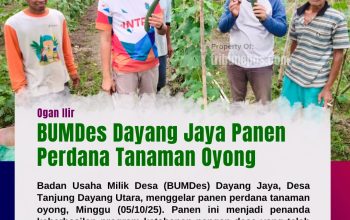BUMDes Dayang Jaya Panen Perdana Tanaman Oyong, Kades Parhan Harap Jadi Pemacu Ekonomi Petani