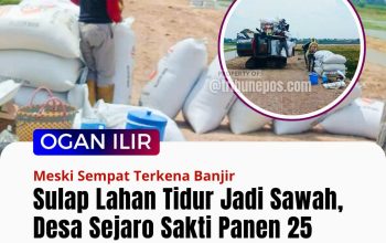 Sulap Lahan Tidur Jadi Sawah, Desa Sejaro Sakti Panen 25 Ton Gabah, Meski Sempat Terkena Banjir