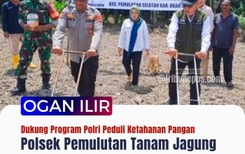 Dukung Program Polri Peduli Ketahanan Pangan, Polsek Pemulutan Tanam Jagung di Desa Pematang Bangsal
