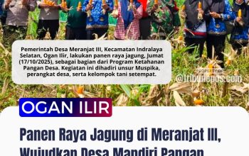 Panen Raya Jagung di Meranjat III, Warga Wujudkan Desa Mandiri Pangan