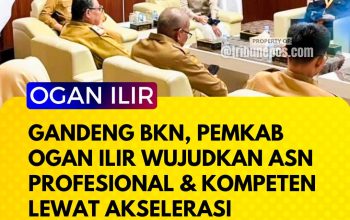 Gandeng BKN, Pemkab Ogan Ilir Wujudkan ASN Profesional dan Kompeten Lewat Akselarasi Manajemen Talenta