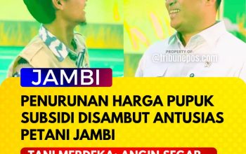 Penurunan Harga Pupuk Subsidi Disambut Antusias Petani Jambi, Tani Merdeka: Angin Segar untuk Petani Kecil