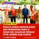 Wisata Kebun Anggur Burai Jadi Primadona Baru di Ogan Ilir, Rasakan Sensasi Petik Sendiri dari Pohon