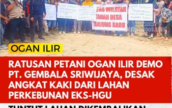 Ratusan Petani Ogan Ilir Demo PT. Gembala Sriwijaya, Desak Angkat Kaki dari Lahan Perkebunan Eks-HGU