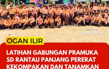 Latihan Gabungan Pramuka SD Rantau Panjang Pererat Kekompakan dan Tanamkan Semangat Kedisiplinan Siswa