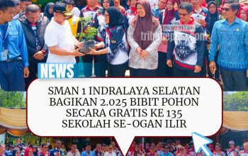 SMAN 1 Indralaya Selatan Bagikan 2.025 Bibit Pohon Gratis ke 135 Sekolah se-Ogan Ilir