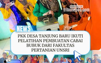 PKK Desa Tanjung Baru Ikuti Pelatihan Pembuatan Cabai Bubuk dari Fakultas Pertanian Unsri