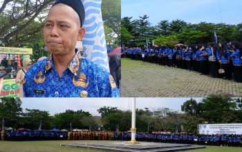 Enam Tahun Menanti, Medi Akhirnya Dilantik sebagai PPPK Paruh Waktu di Ogan Ilir