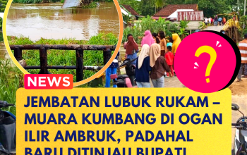Jembatan Lubuk Rukam–Muara Kumbang di Ogan Ilir Ambruk, Padahal Baru Ditinjau Bupati